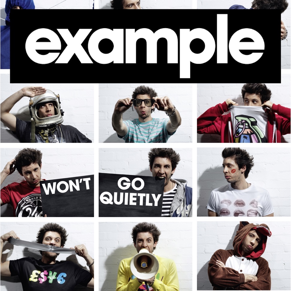 Example Won&#039;t Go Quietly cover artwork
