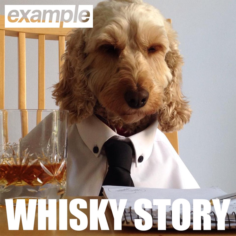 Example Whisky Story cover artwork