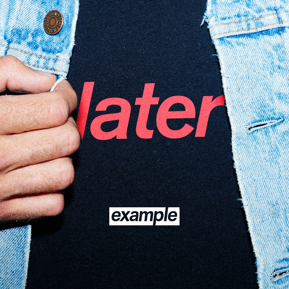 Example Later cover artwork