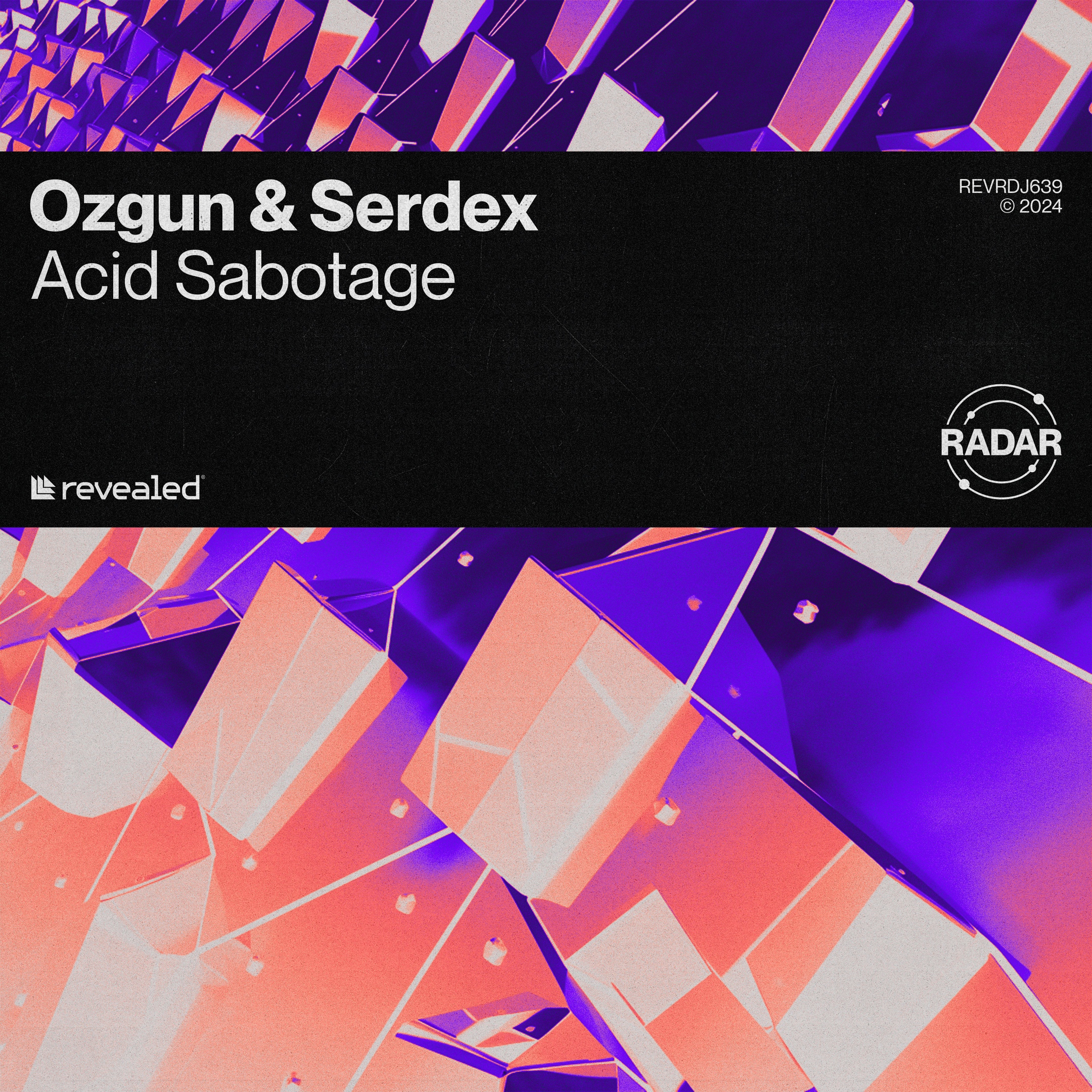 Ozgun & Serdex — Acid Sabotage cover artwork
