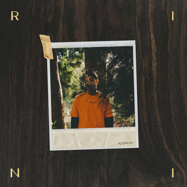 RINI — Substitute cover artwork