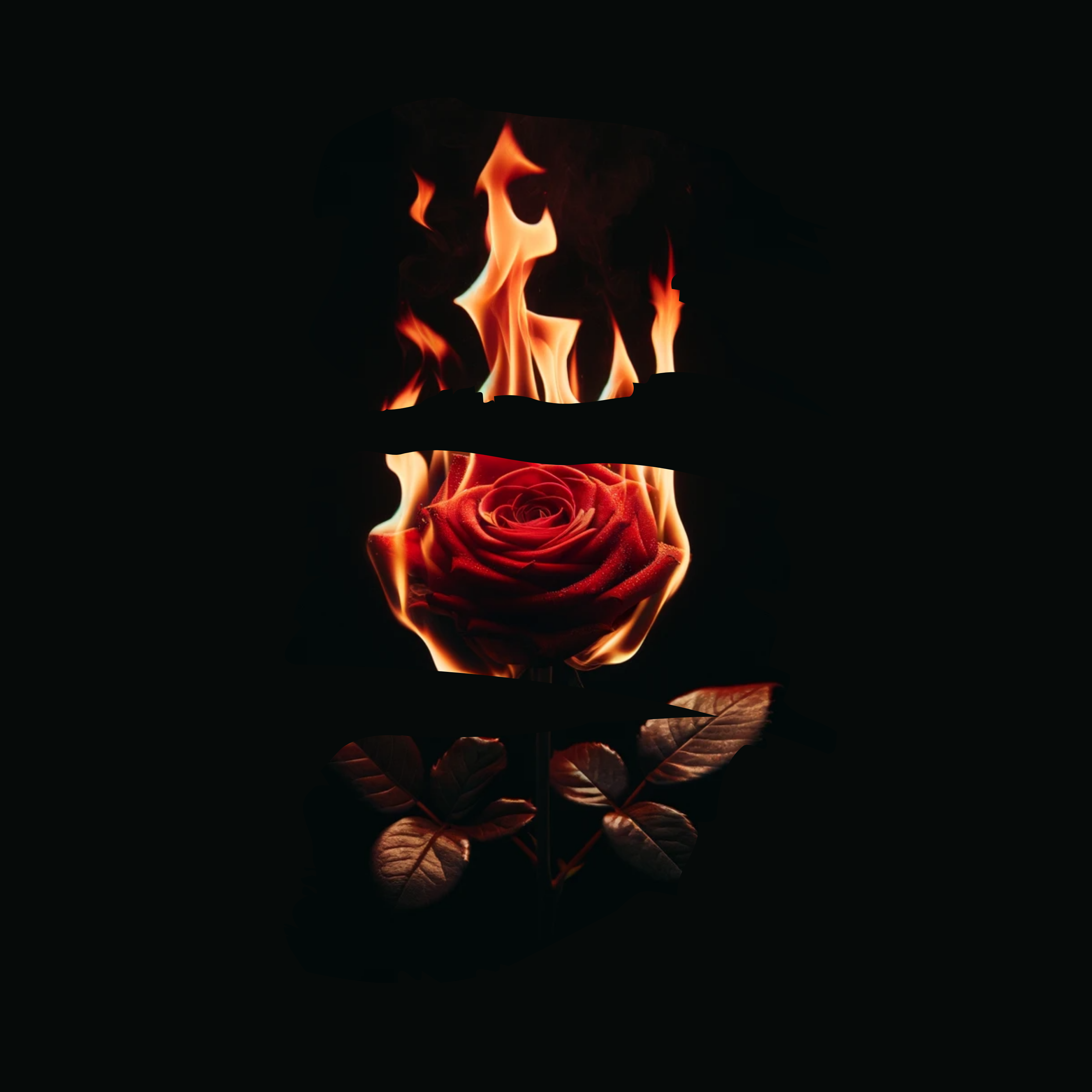 Isco Cruz Nocturnal Summer cover artwork
