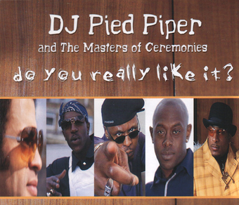 DJ Pied Piper — Do You Really Like It? cover artwork
