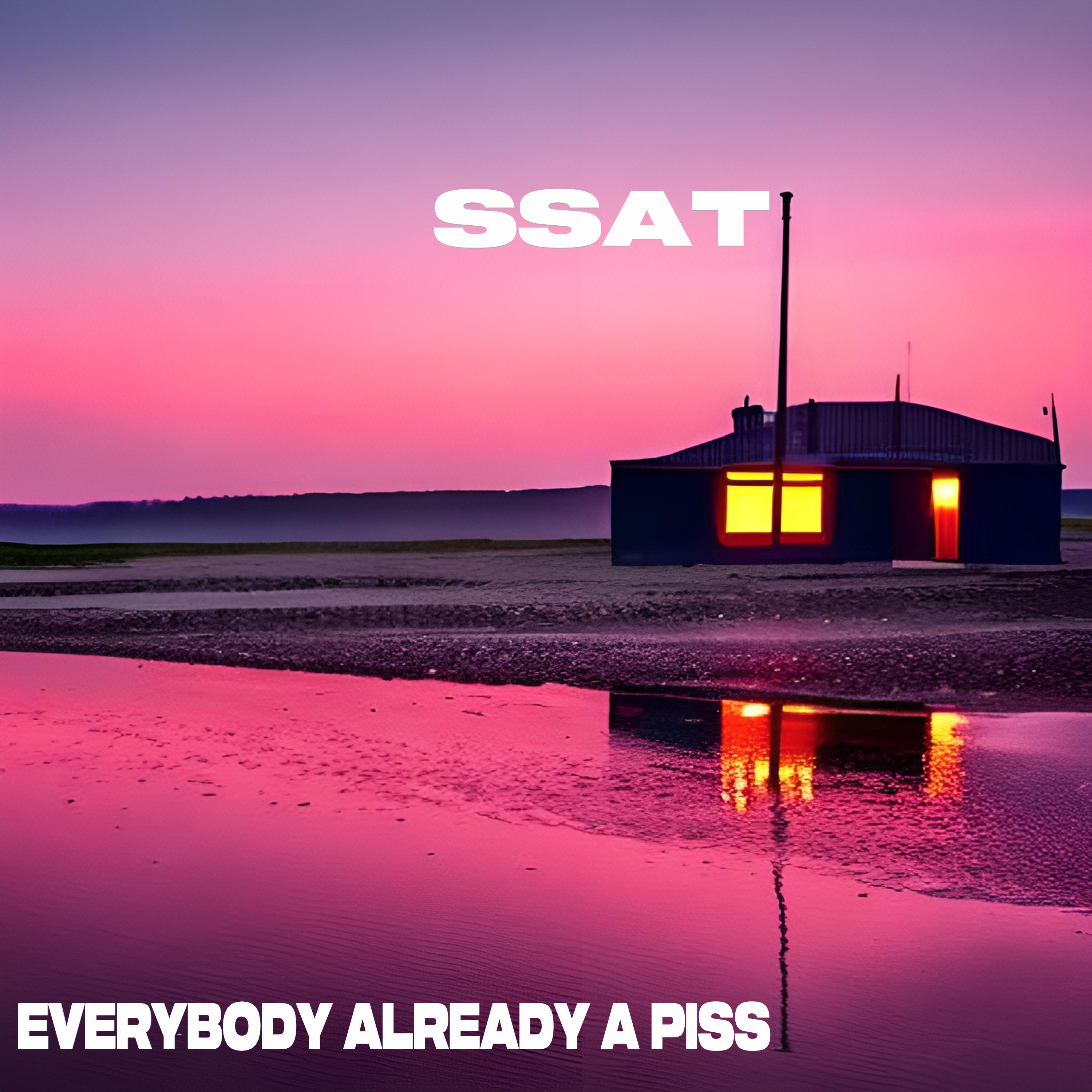 SSAT — Everybody Already A Piss cover artwork
