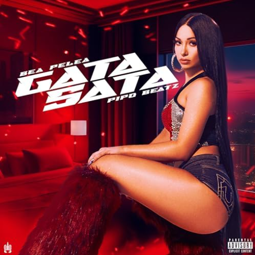 Bea Pelea — Gata Sata cover artwork
