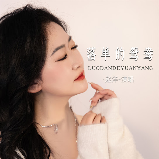 赵洋 — 落单的鸳鸯 cover artwork