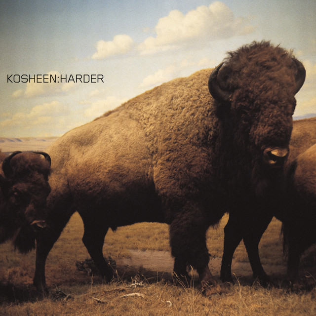 Kosheen — Harder (Ashley Beedle Soultek Vocal Remix) cover artwork