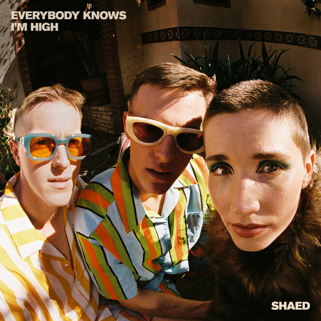 SHAED — Everybody Knows I&#039;m High cover artwork