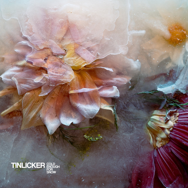 Tinlicker featuring Julia Church — Glasshouse cover artwork