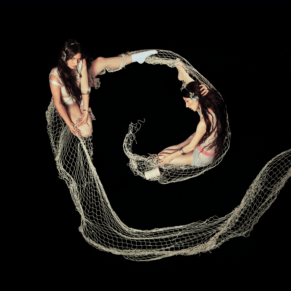 Caroline Polachek featuring Weyes Blood — Butterfly Net cover artwork
