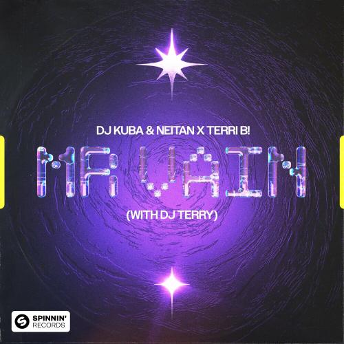 DJ Kuba &amp; Neitan featuring Terri B! & DJ Terry — Mr. Vain cover artwork