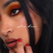 Janani K. Jha — Slow Burn cover artwork