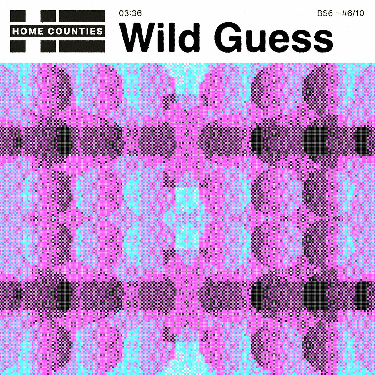 Home Counties — Wild Guess cover artwork