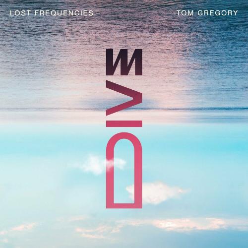 Lost Frequencies & Tom Gregory — Dive cover artwork