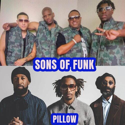 Sons of Funk — Pillow cover artwork