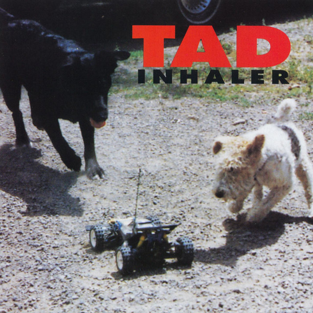 Tad Inhaler cover artwork