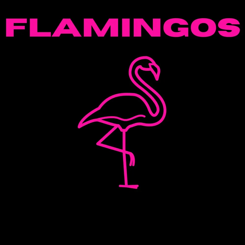 Flamingos — Watch Me Work cover artwork