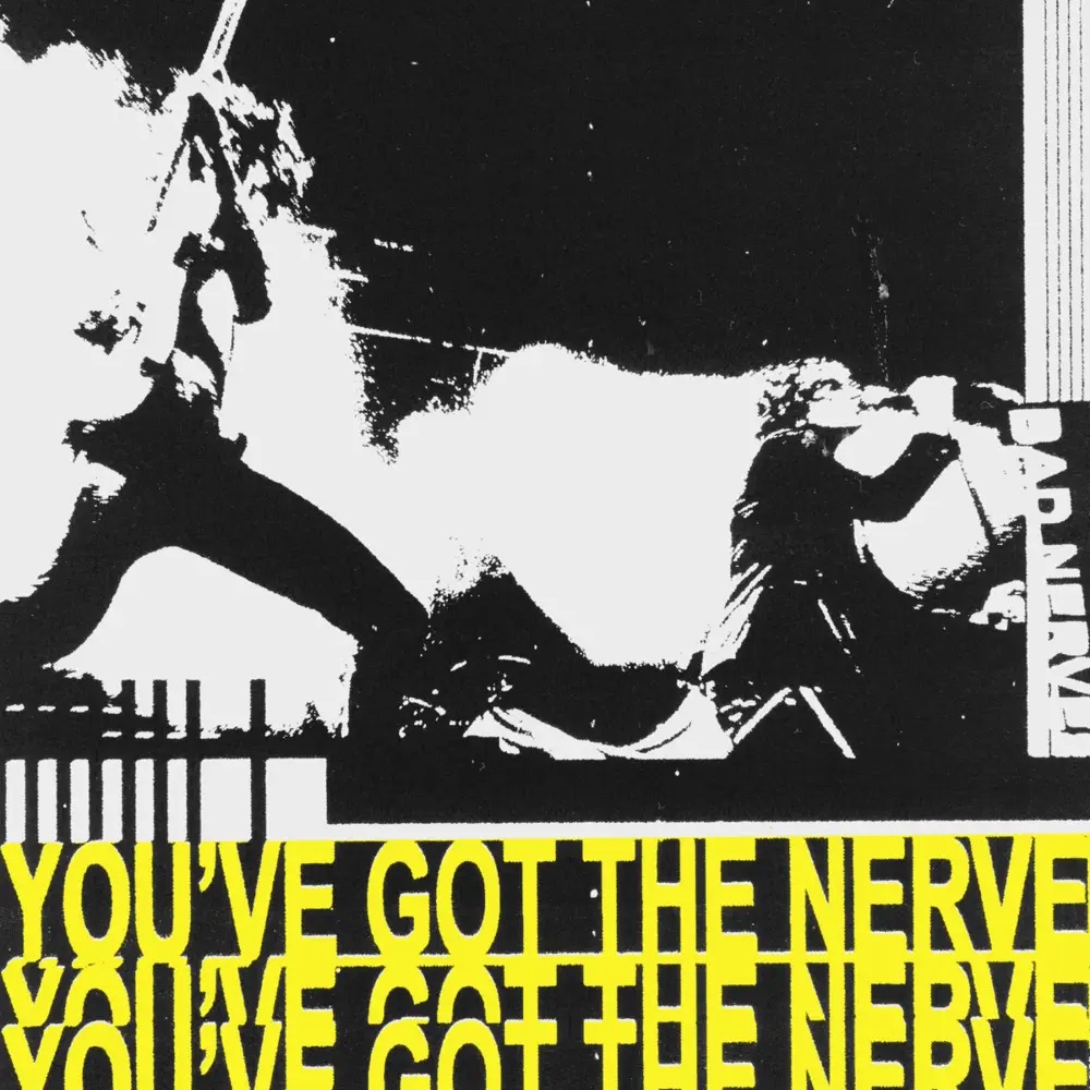 Bad Nerves You’ve Got The Nerve cover artwork