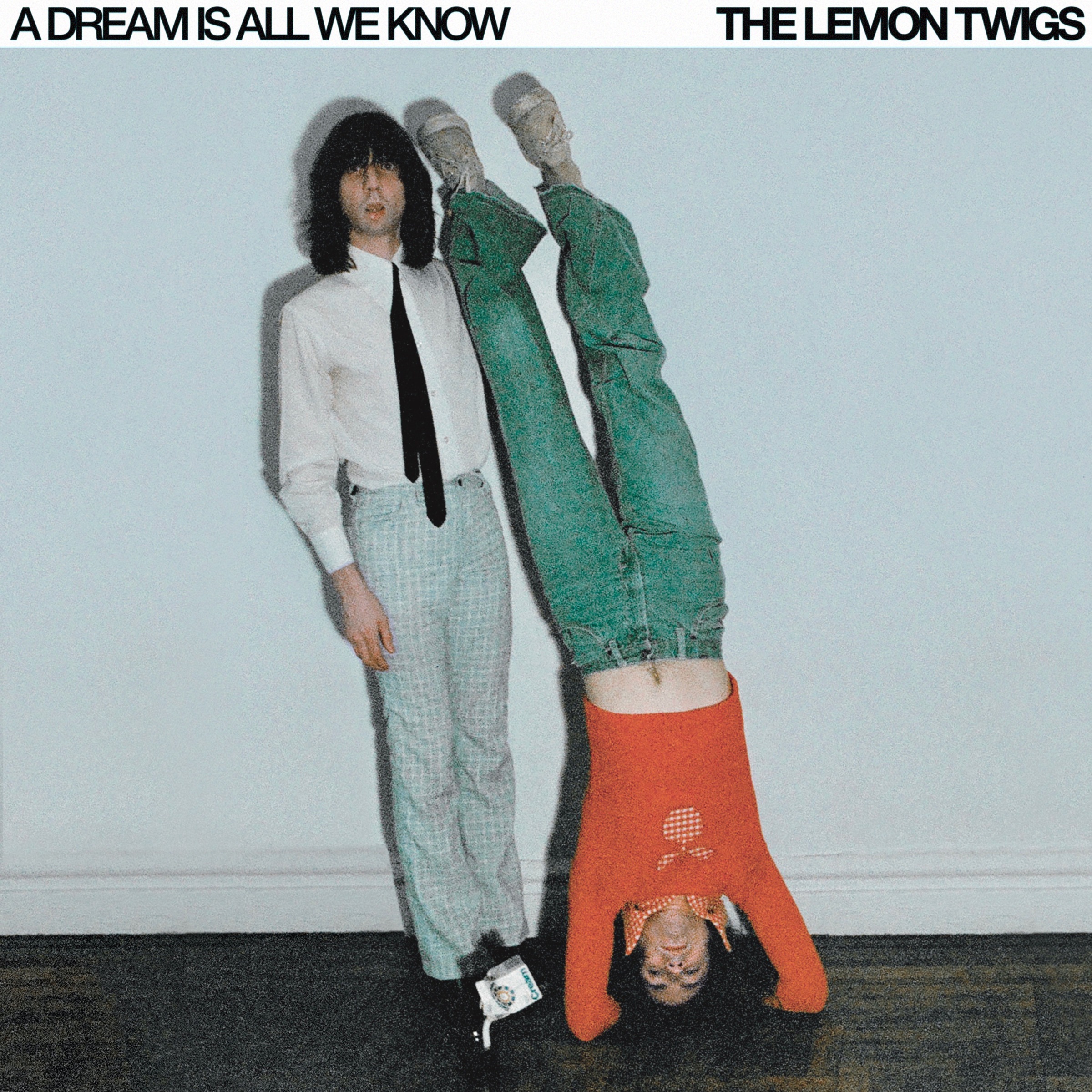 The Lemon Twigs A Dream Is All We Know cover artwork