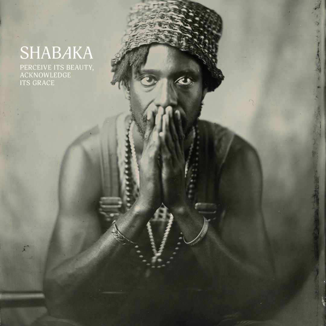 Shabaka featuring Floating Points & Laraaji — I&#039;ll Do Whatever You Want cover artwork