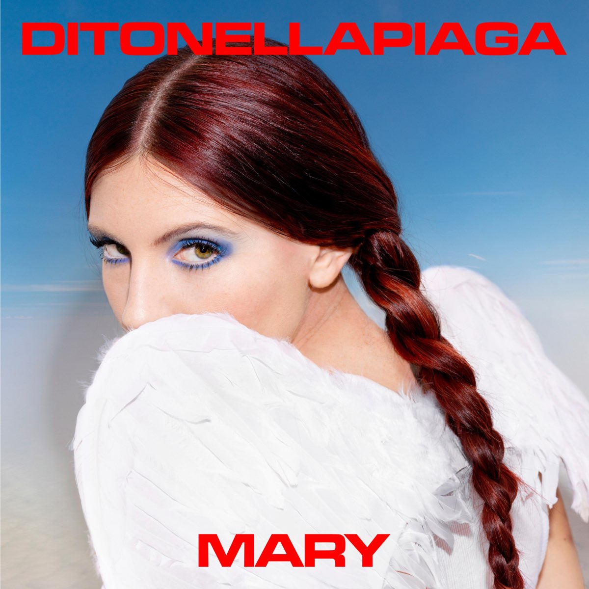 Ditonellapiaga — Mary cover artwork