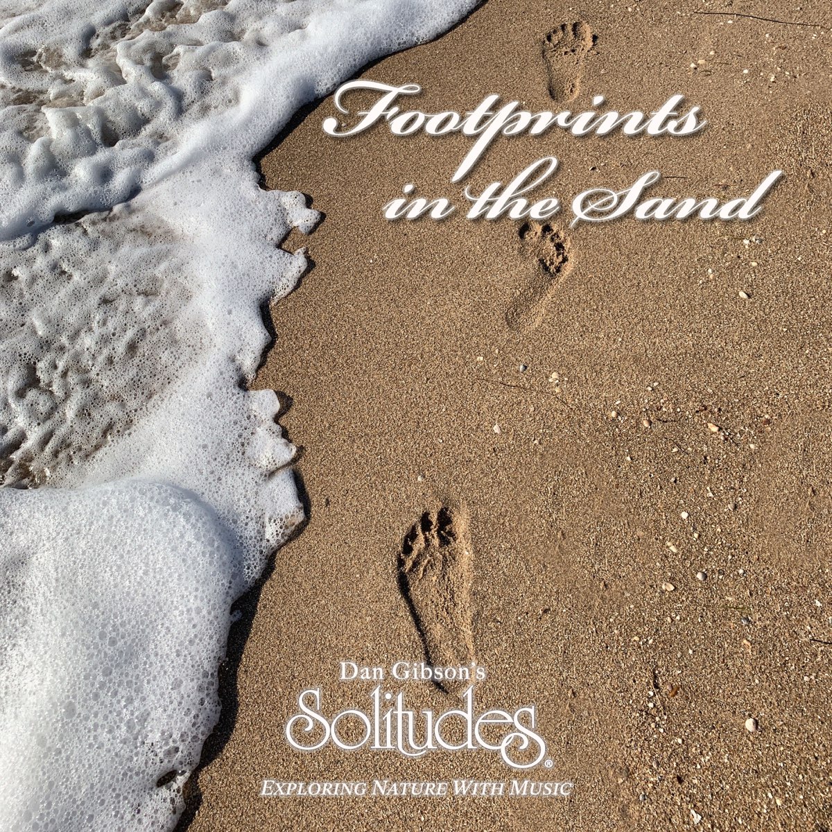 Dan Gibson&#039;s Solitudes Footprints In The Sand cover artwork