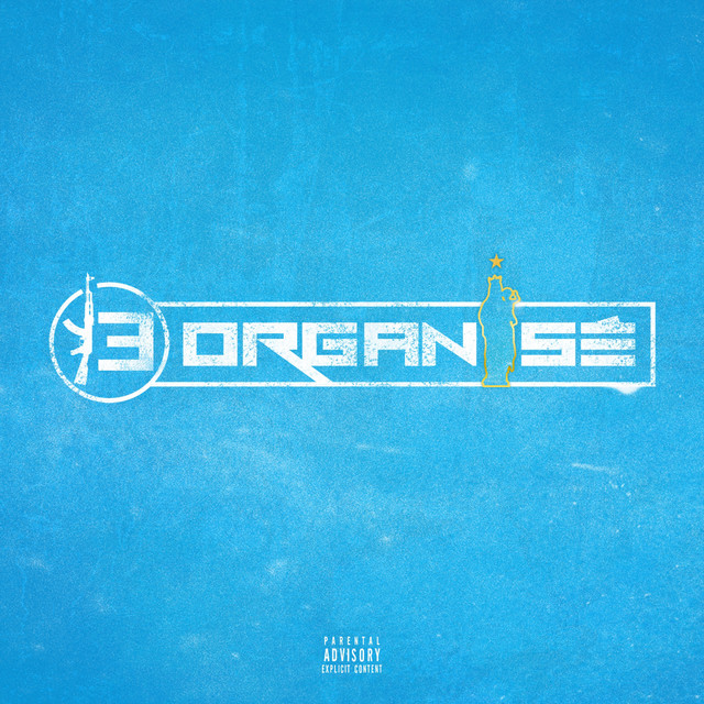 13 Organisé — 13 Organisé cover artwork