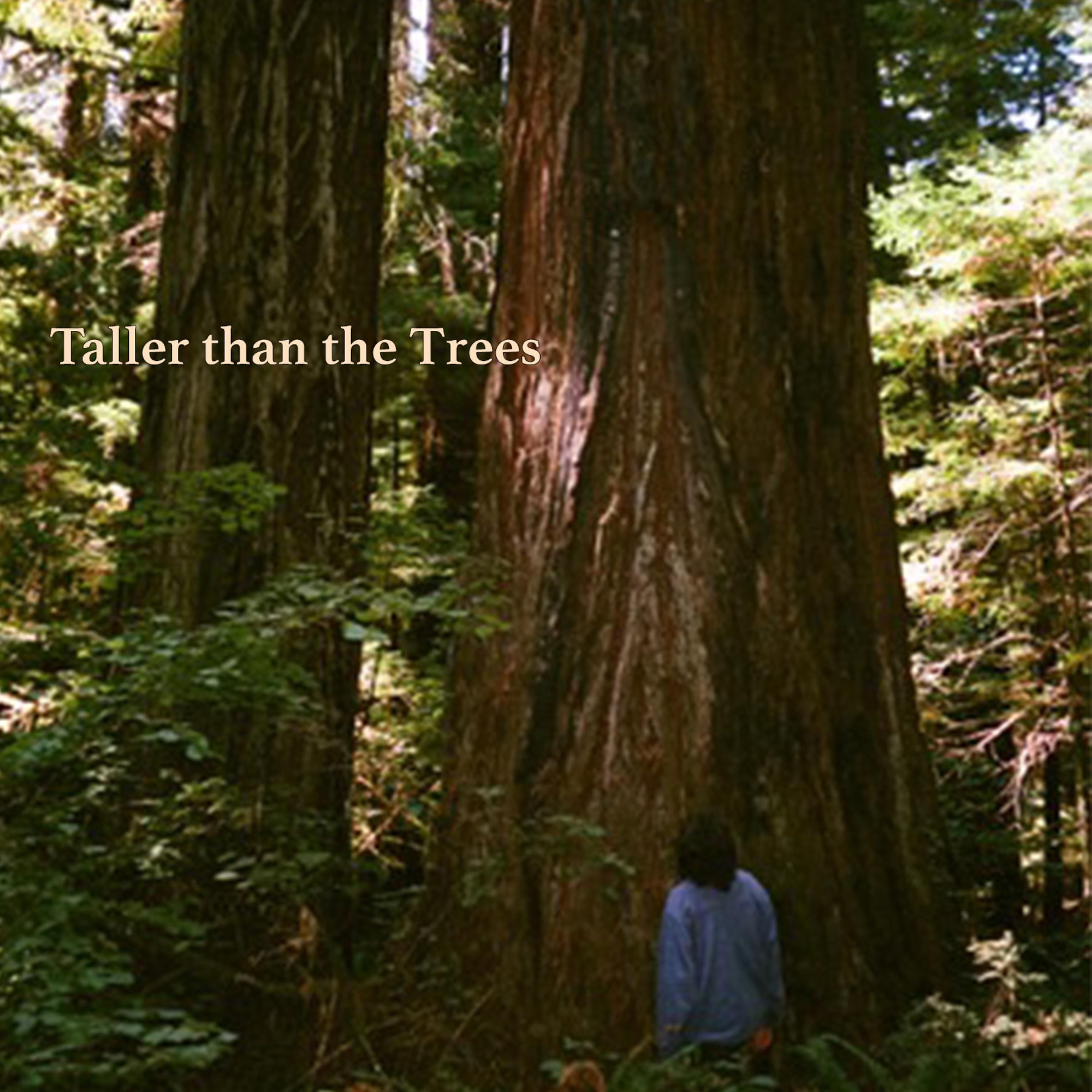 GUS — Taller Than the Trees cover artwork