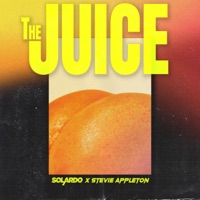 Solardo featuring Stevie Appleton — The Juice cover artwork