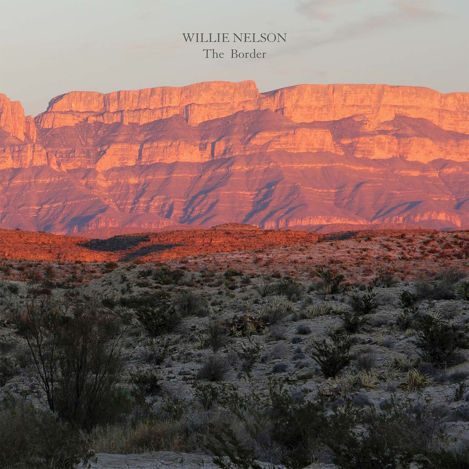 Willie Nelson The Border cover artwork