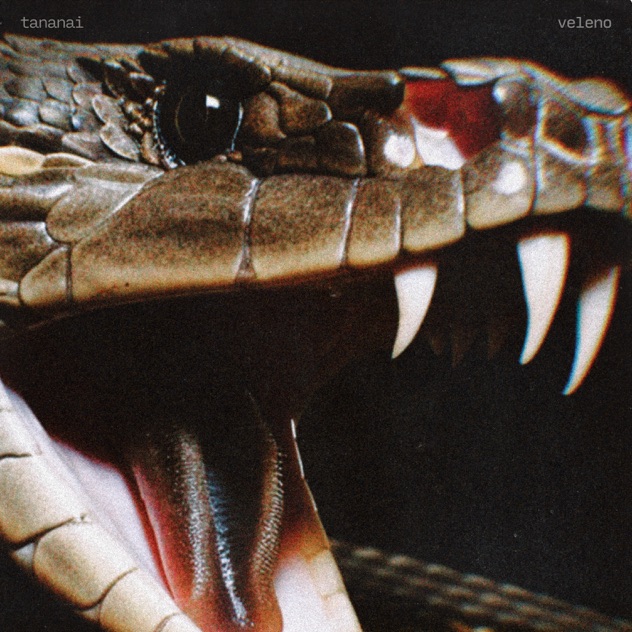 Tananai — VELENO cover artwork
