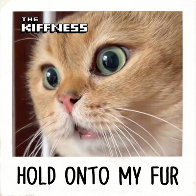 The Kiffness Hold Onto My Fur cover artwork
