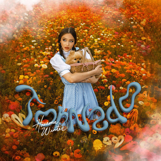 Havanna Winter — Tornado cover artwork