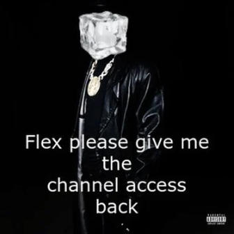 Mr Ice Flex Please Give Me Channel Access Back cover artwork