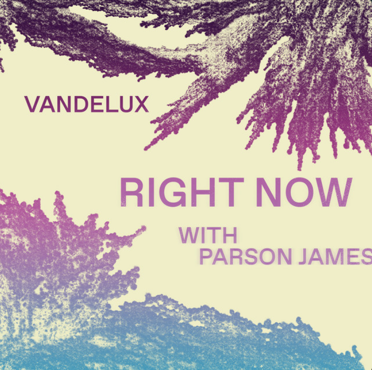 Vandelux ft. featuring Parson James Right Now cover artwork