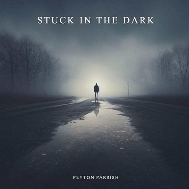 Peyton Parrish — Stuck in the Dark cover artwork