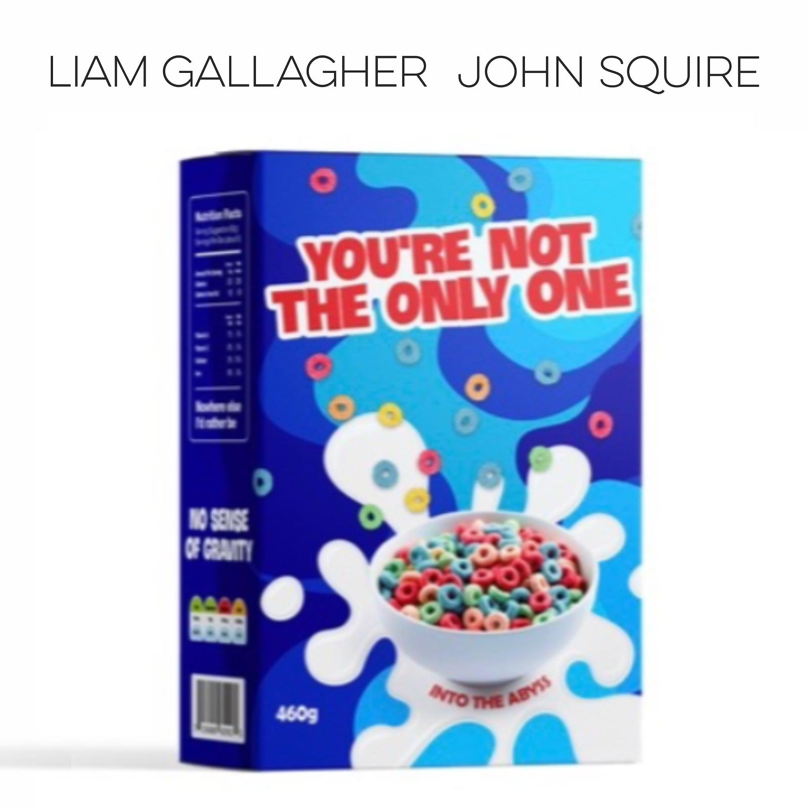 Liam Gallagher & John Squire You&#039;re Not The Only One cover artwork