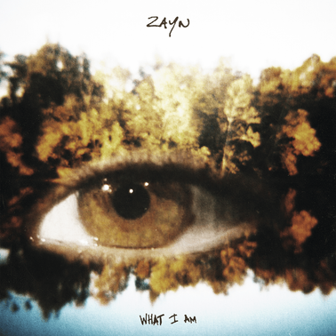 ZAYN — What I Am cover artwork