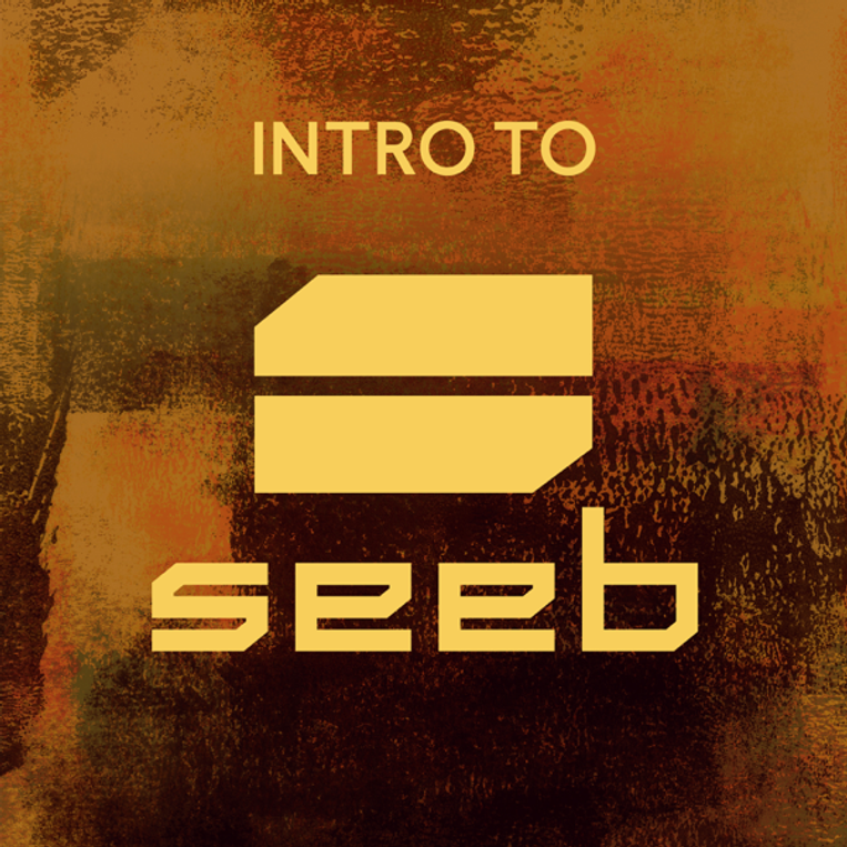 Seeb Intro To Seeb cover artwork