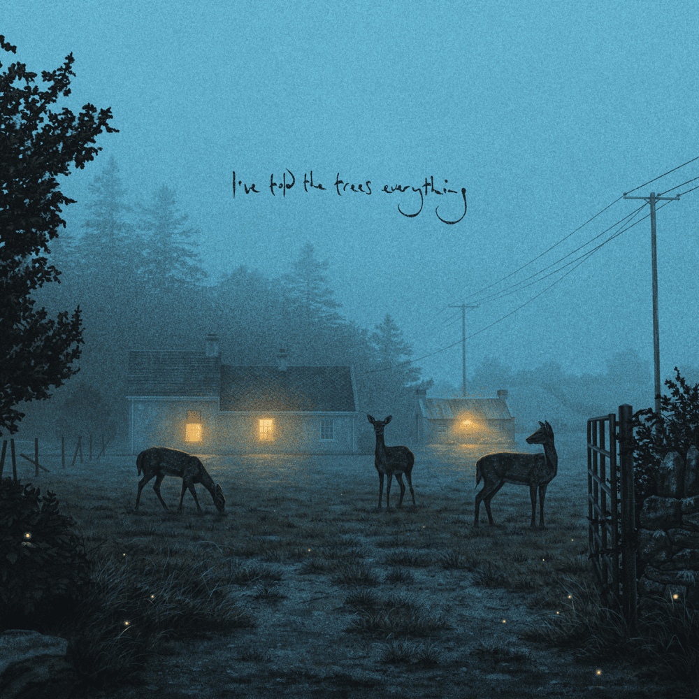 Dermot Kennedy I&#039;ve told the trees everything cover artwork