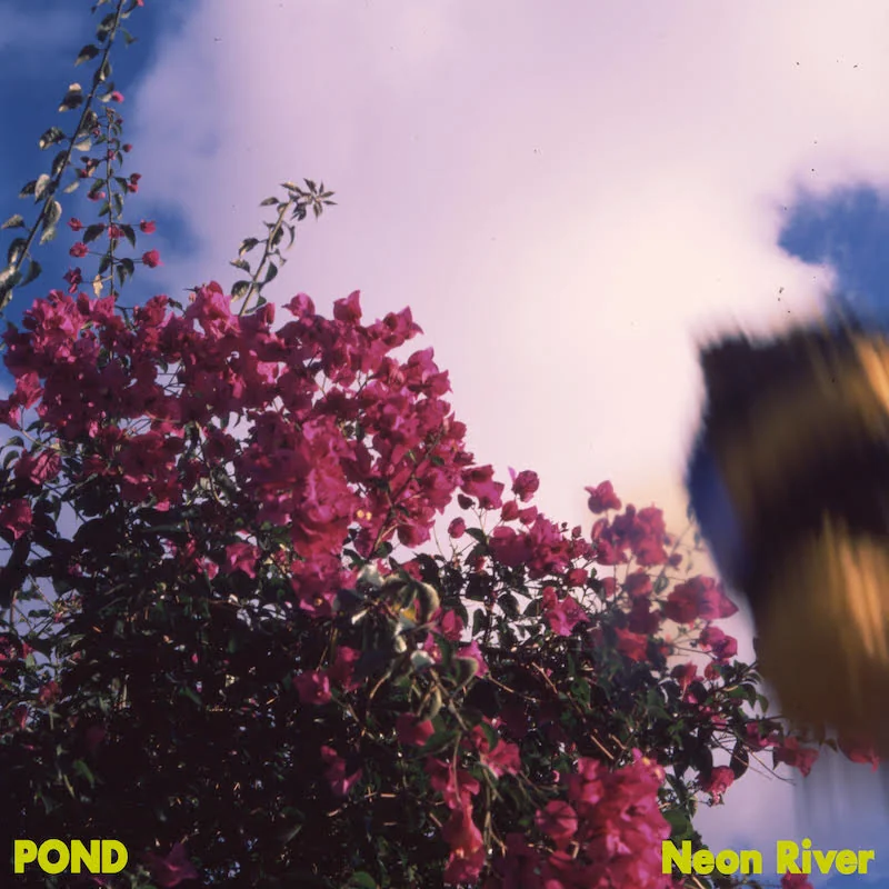 Pond — Neon River cover artwork