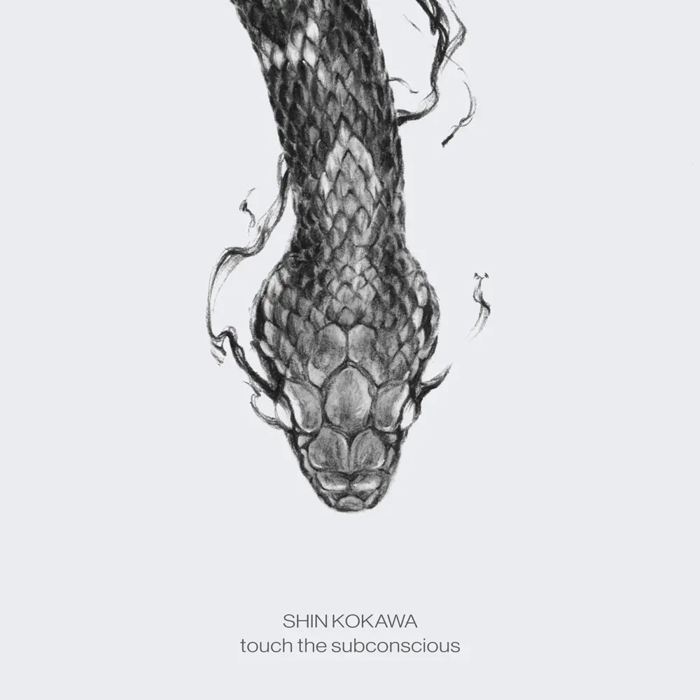 SHIN KOKAWA featuring Sara Wakui — moon cover artwork