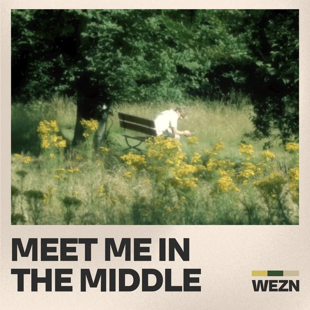 Wezn — Meet Me In The Middle cover artwork
