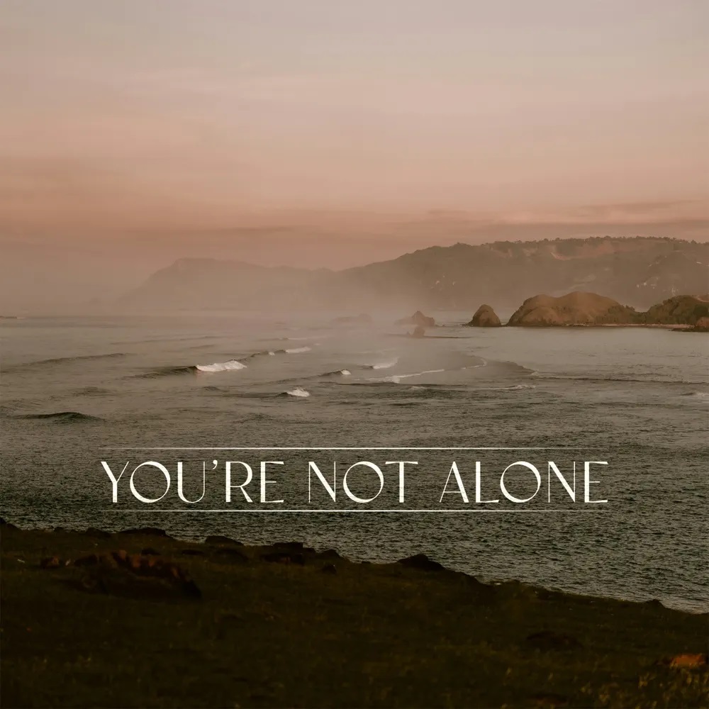 Punctual & RY X — You’re Not Alone cover artwork