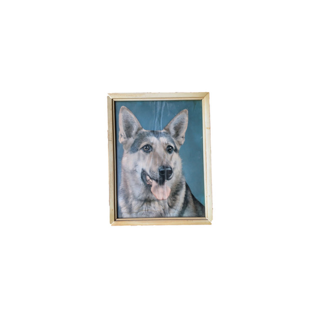 Personal Trainer — Former Puppy cover artwork