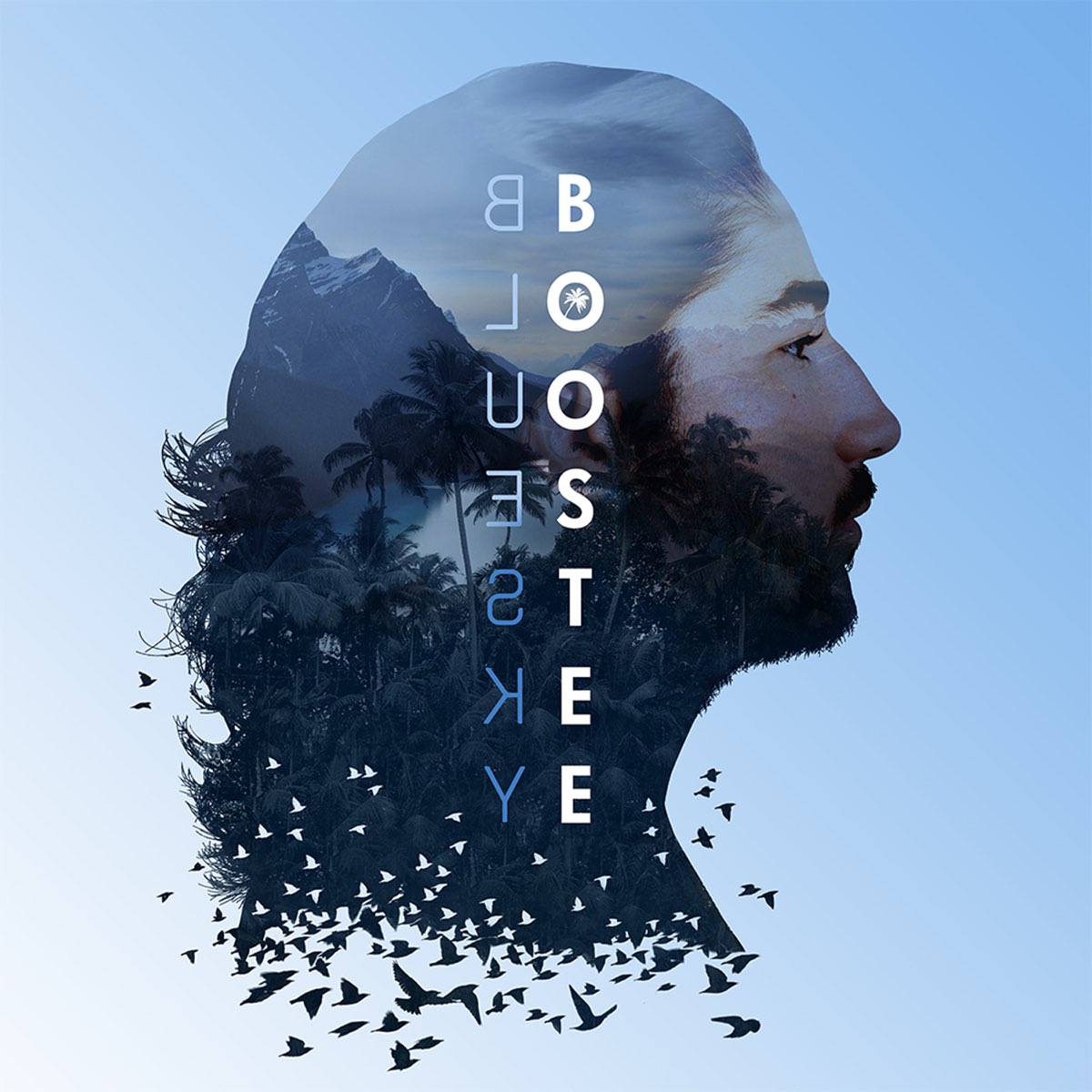 Boostee Bluesky cover artwork