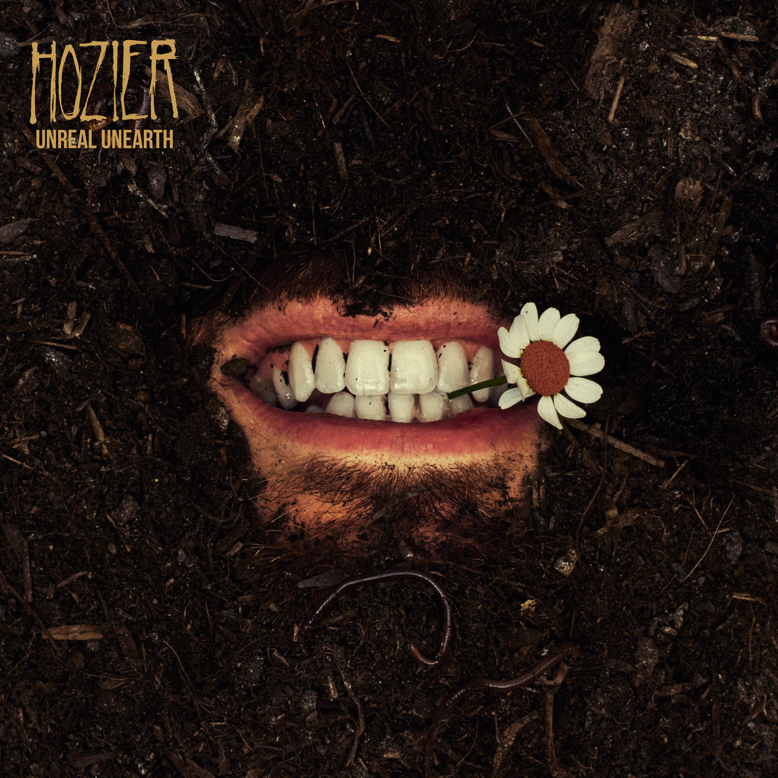 Hozier — Unreal Unearth cover artwork