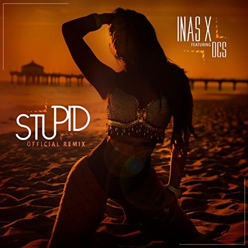 Inas X featuring DCS — Stupid (Remix) cover artwork