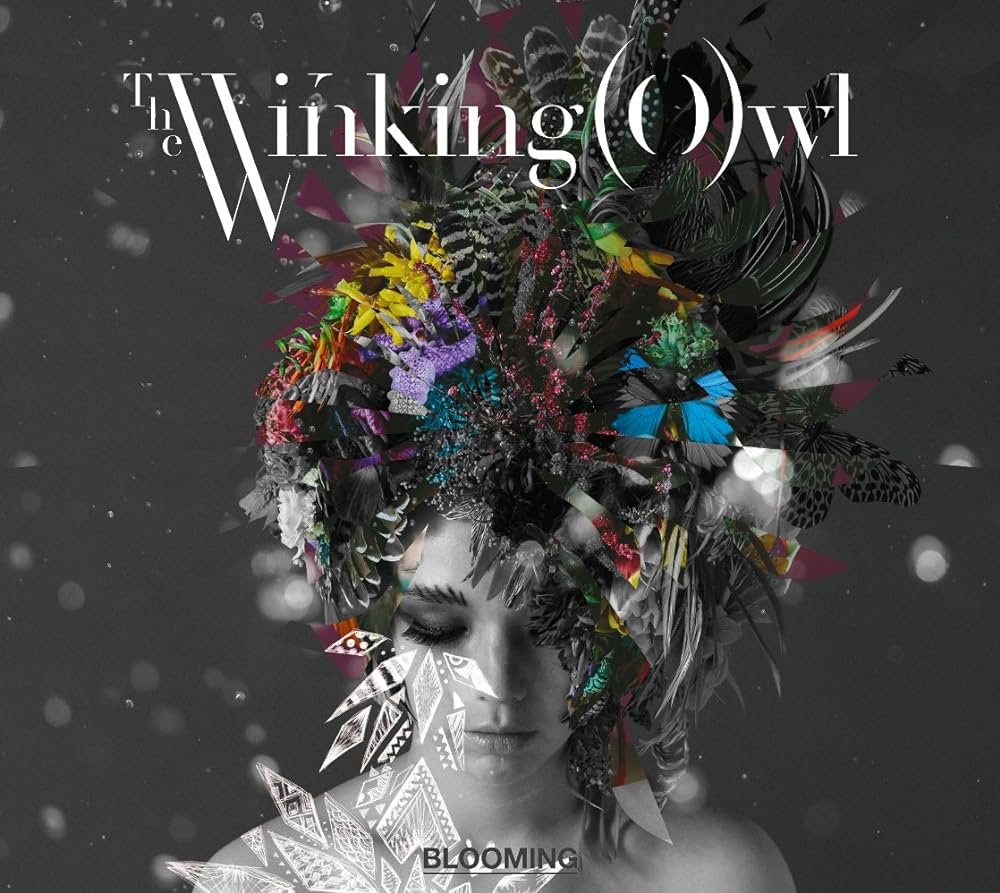 The Winking Owl — Bloom cover artwork