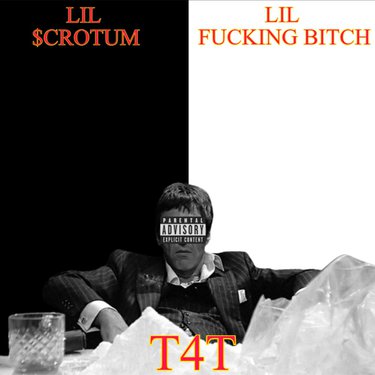 Lil Fucking Bitch featuring Lil $crotum — T4T cover artwork